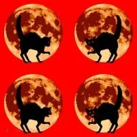 Halloween Cat with Full Moon Phases Santa Hat thumb 1