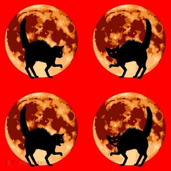 Halloween Cat with Full Moon Phases Santa Hat