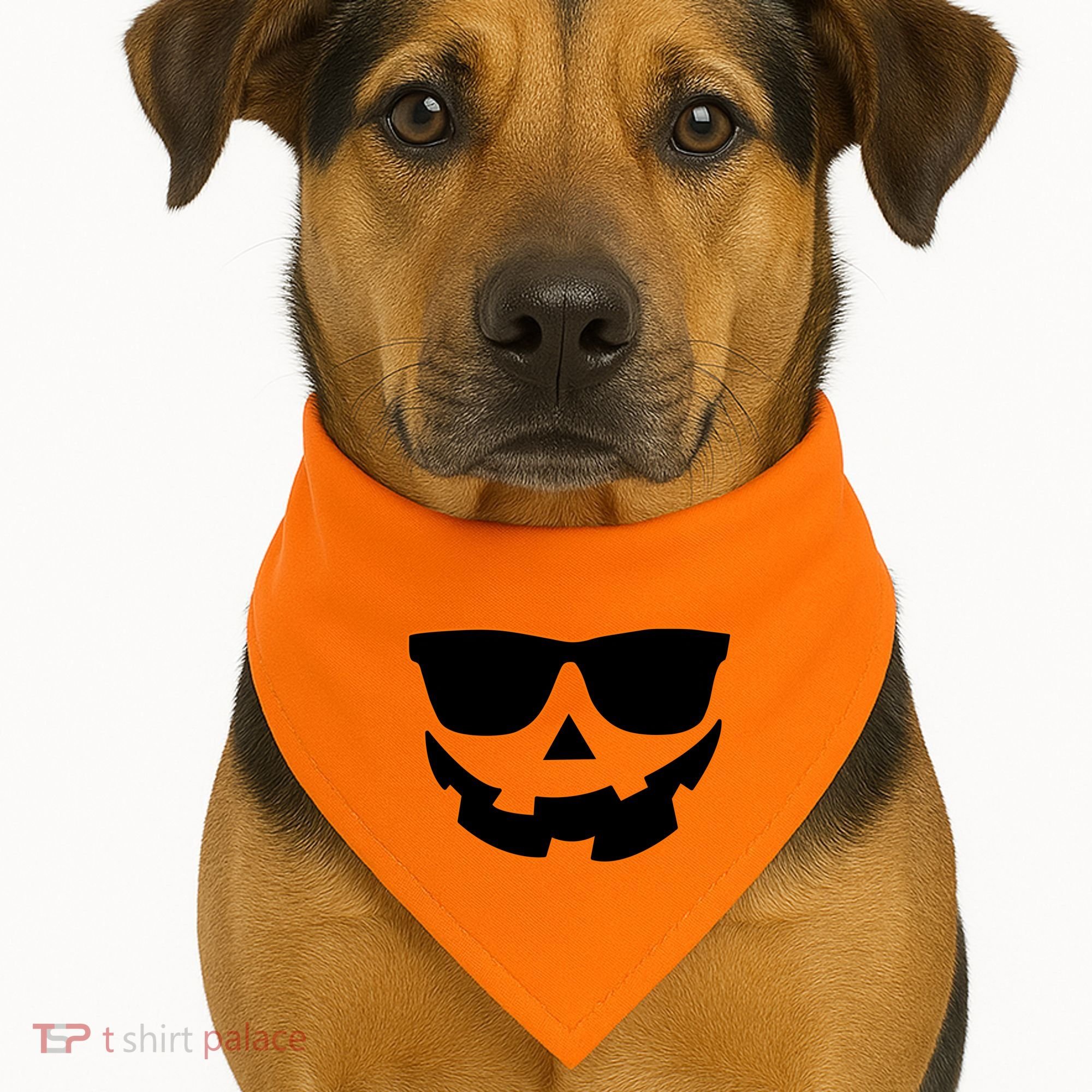 Halloween Jack-O- Lantern With Shades USA-Made Doggie Bandana