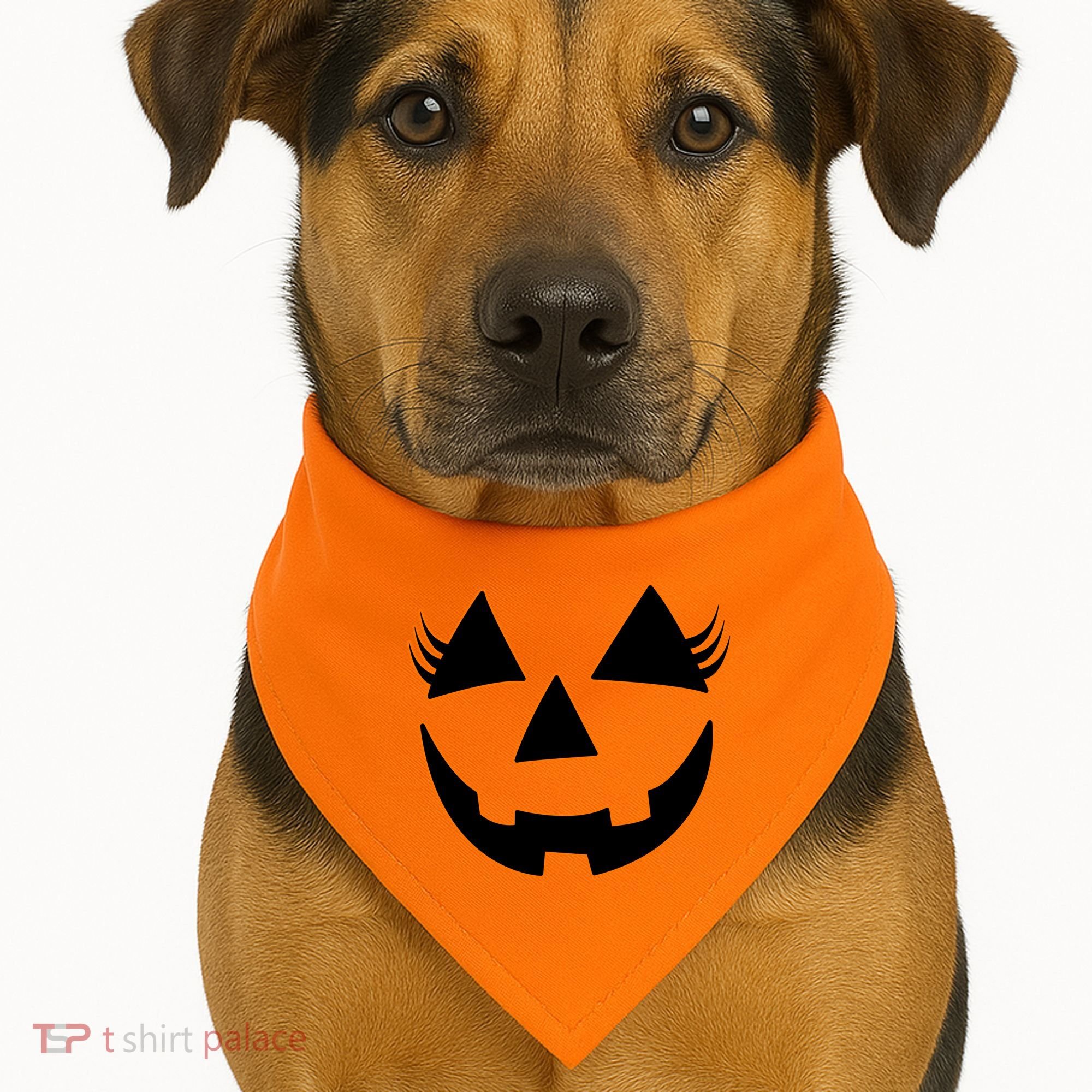 Halloween Jack-O-Lantern With Lashes USA-Made Doggie Bandana