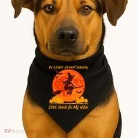 Halloween Witch On A Dark Desert Highway USA-Made Doggie Bandana thumb 1