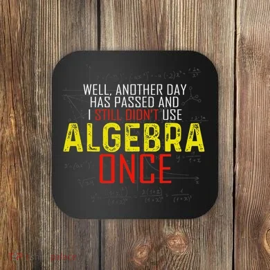 Hate Algebra Math Humor Funny Math Class Student Outfit Coaster