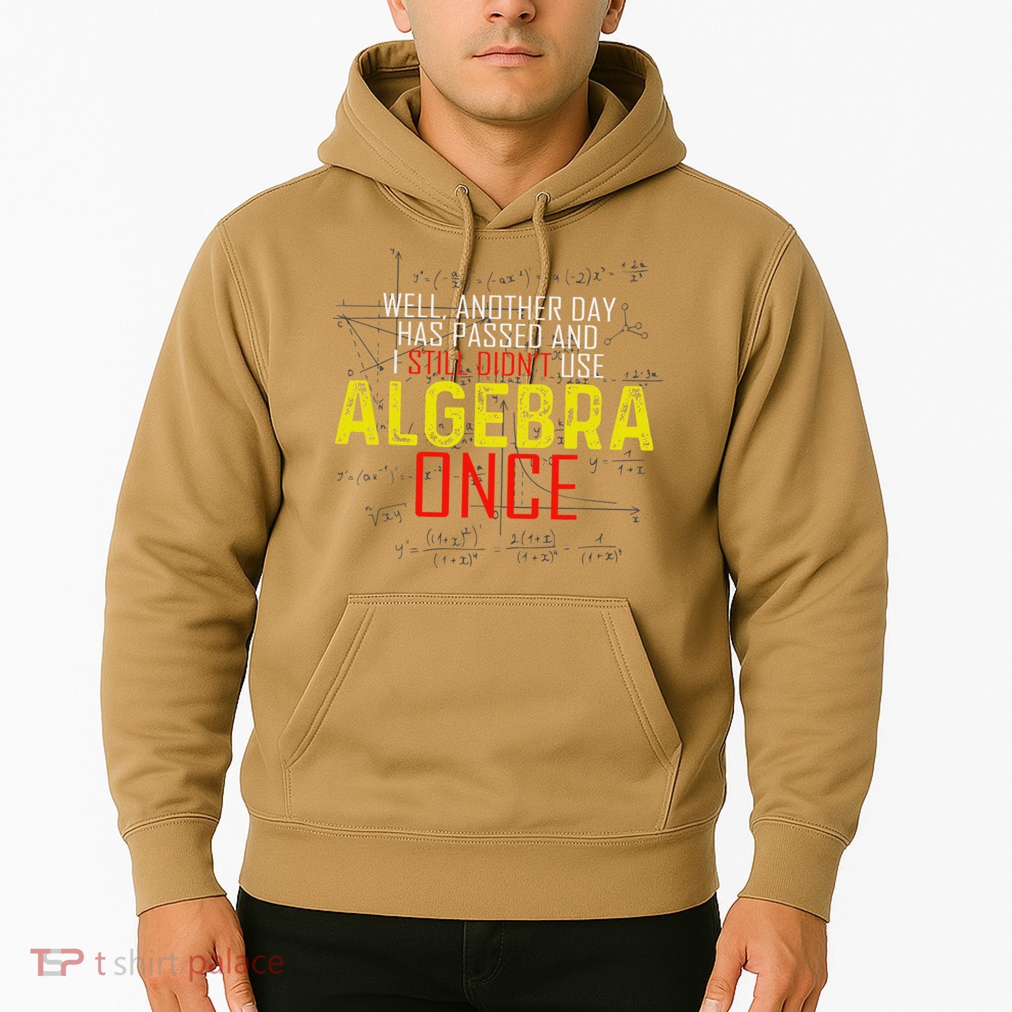 Hate Algebra Math Humor Funny Math Class Student Outfit Hoodie