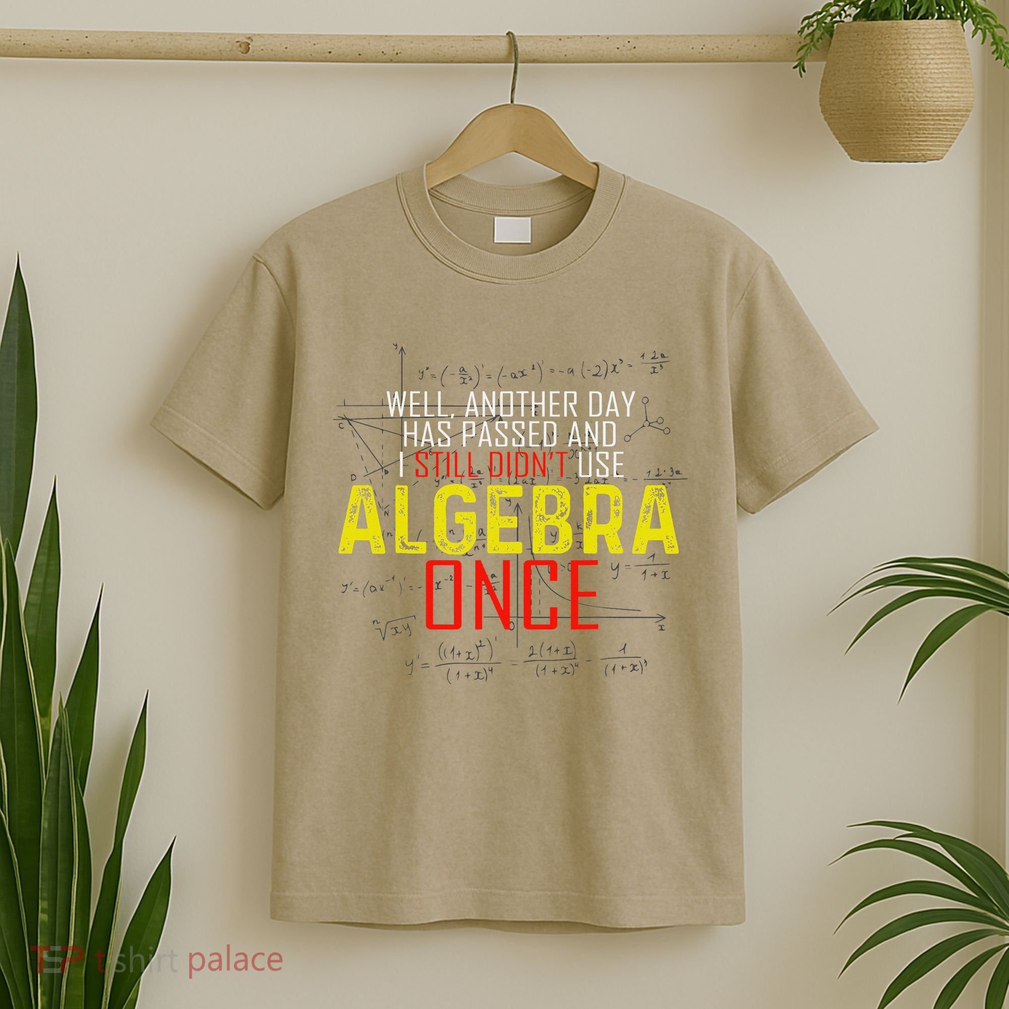 Hate Algebra Math Humor Funny Math Class Student Outfit T-Shirt