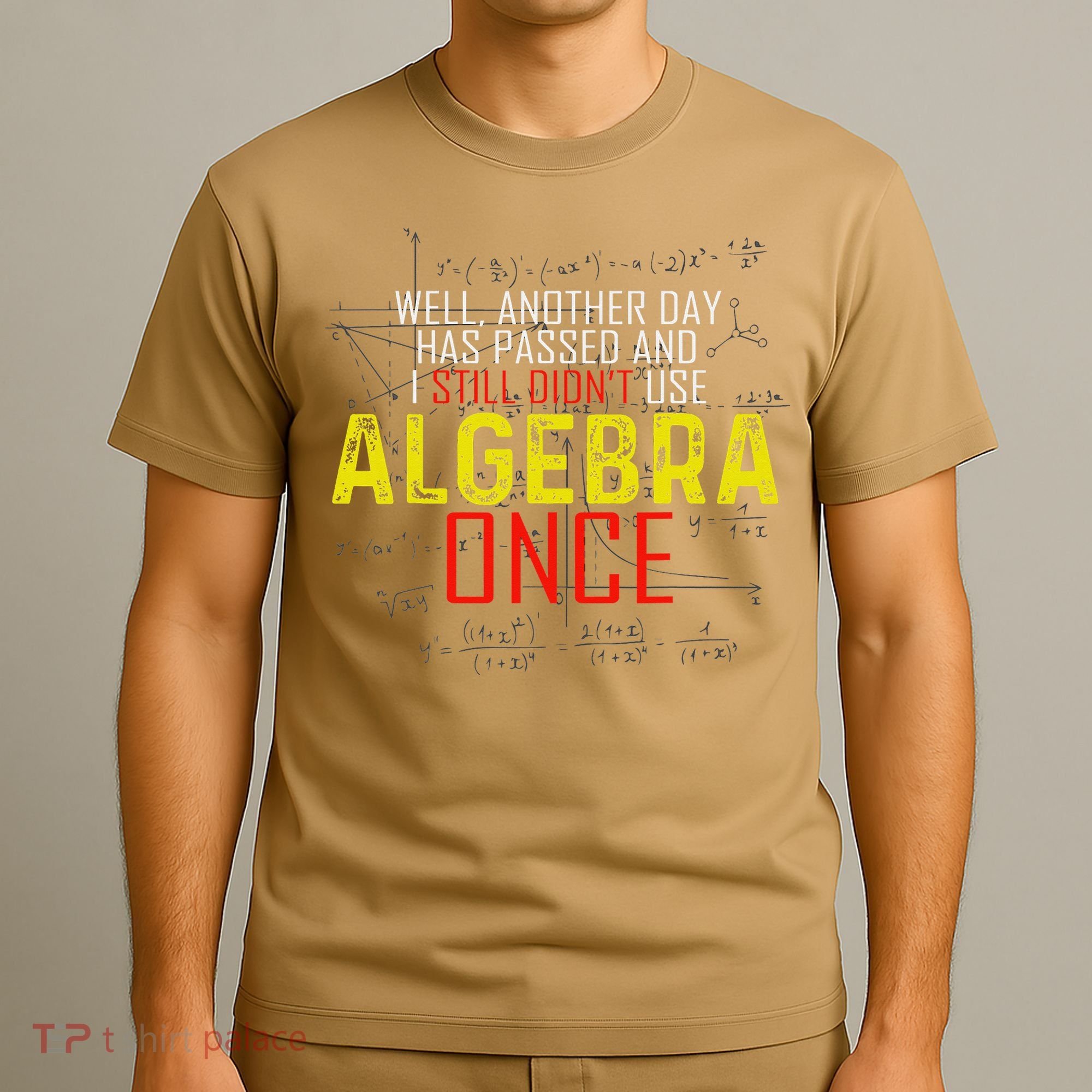 Hate Algebra Math Humor Funny Math Class Student Outfit T-Shirt