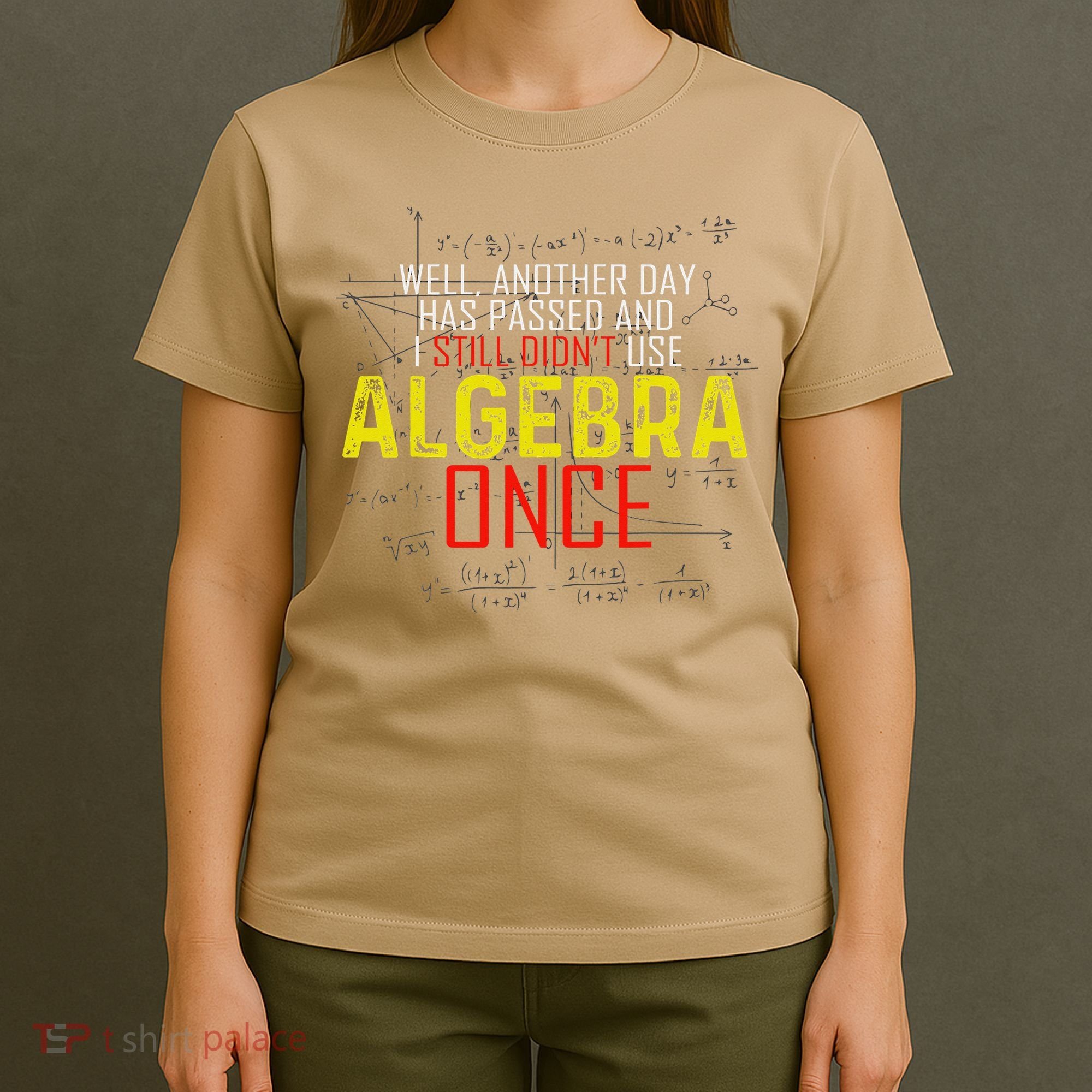 Hate Algebra Math Humor Funny Math Class Student Outfit T-Shirt