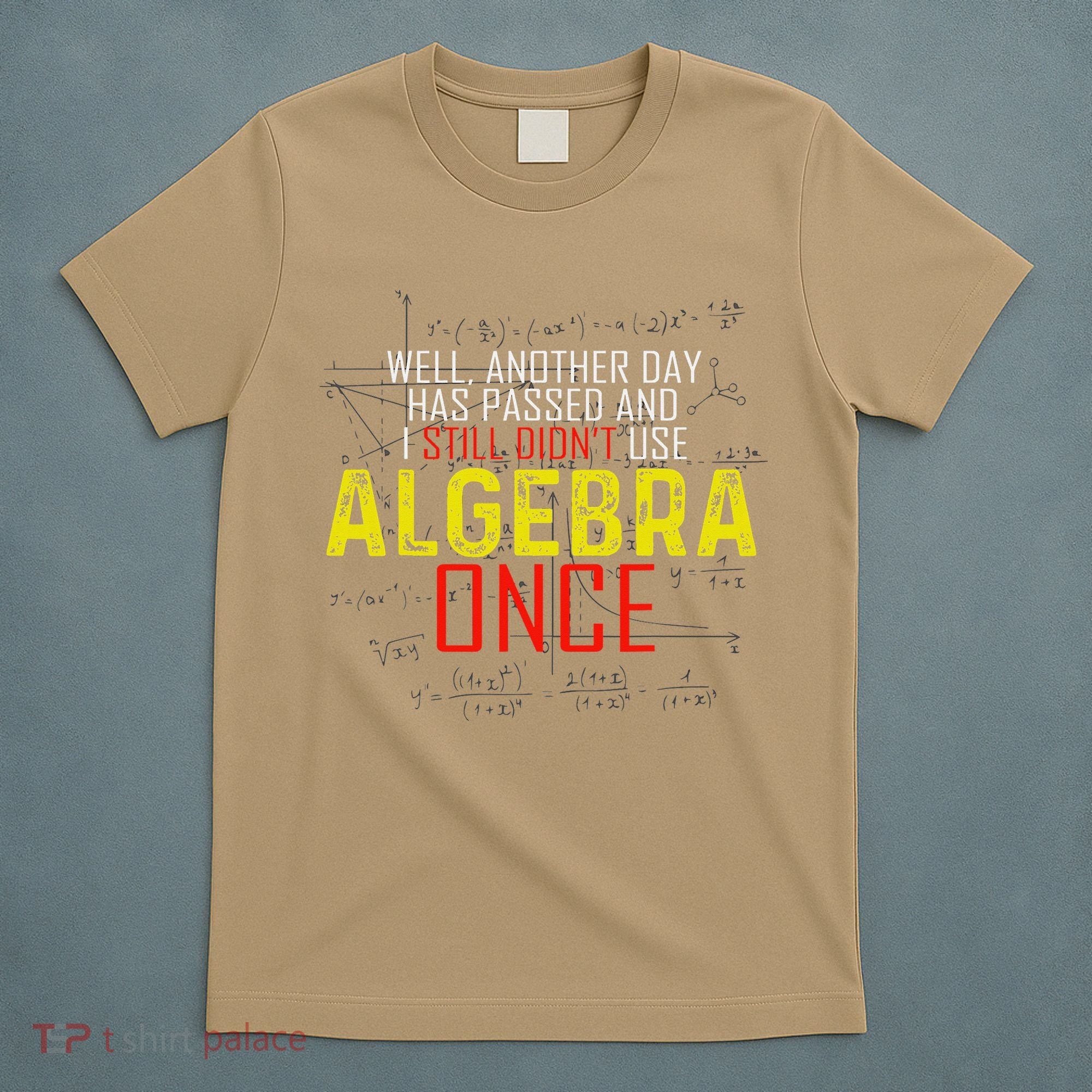 Hate Algebra Math Humor Funny Math Class Student Outfit T-Shirt