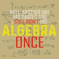 Hate Algebra Math Humor Funny Math Class Student Outfit T-Shirt thumb 7