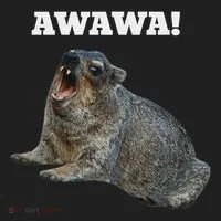Hyrax Awawa Meme Hat thumb 2