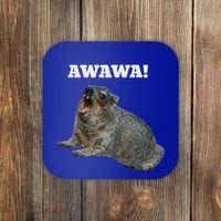 Hyrax Awawa Meme Coaster thumb 0