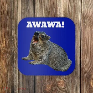 Hyrax Awawa Meme Coaster
