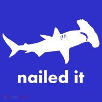 Hammerhead Nailed It Funny Kids Hoodie thumb 5