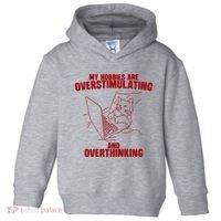 Hobbies Are Overstimulating And Overthinking Toddler Hoodie thumb 0