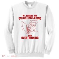 Hobbies Are Overstimulating And Overthinking Sweatshirt thumb 0