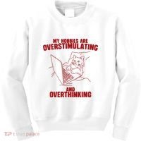Hobbies Are Overstimulating And Overthinking Kids Sweatshirt thumb 0