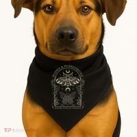 Hades And Persephone Moth And Butterfly Mythology USA-Made Doggie Bandana thumb 1