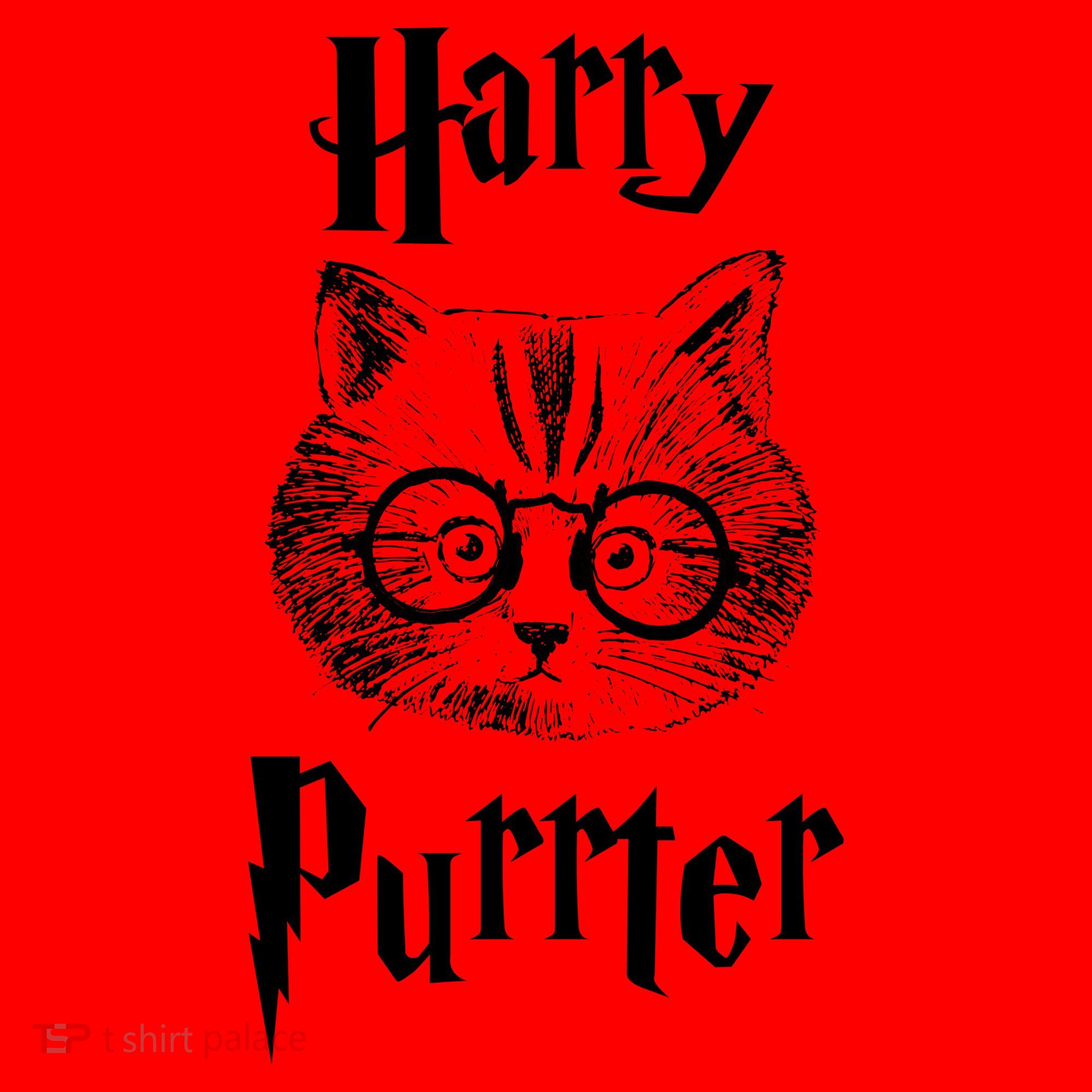 Harry Purrter Santa Hat