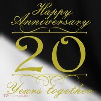 Happy Anniversary 20 Years Together Toddler Fine Jersey T-Shirt thumb 2
