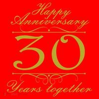 Happy Anniversary 30 Years Together Santa Hat thumb 1
