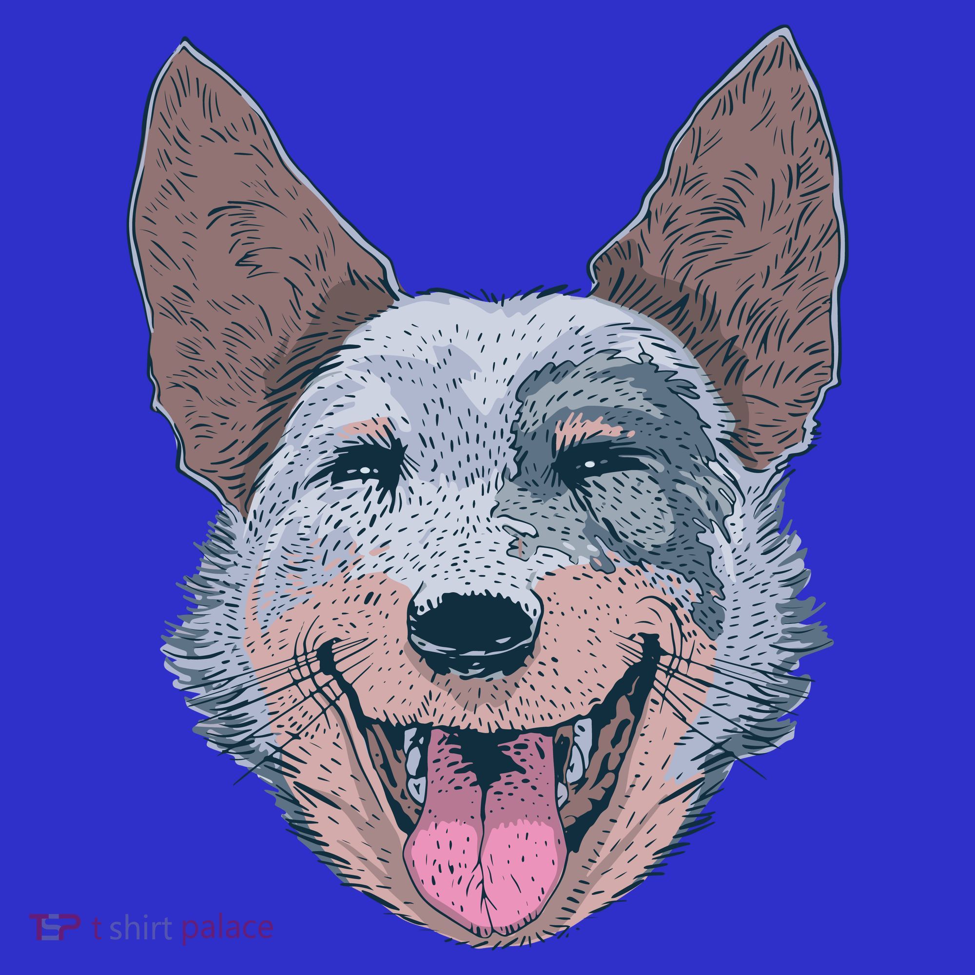 Happy Australian Cattle Dog  Polo