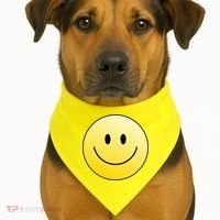 Happy Face Circle USA-Made Doggie Bandana thumb 1