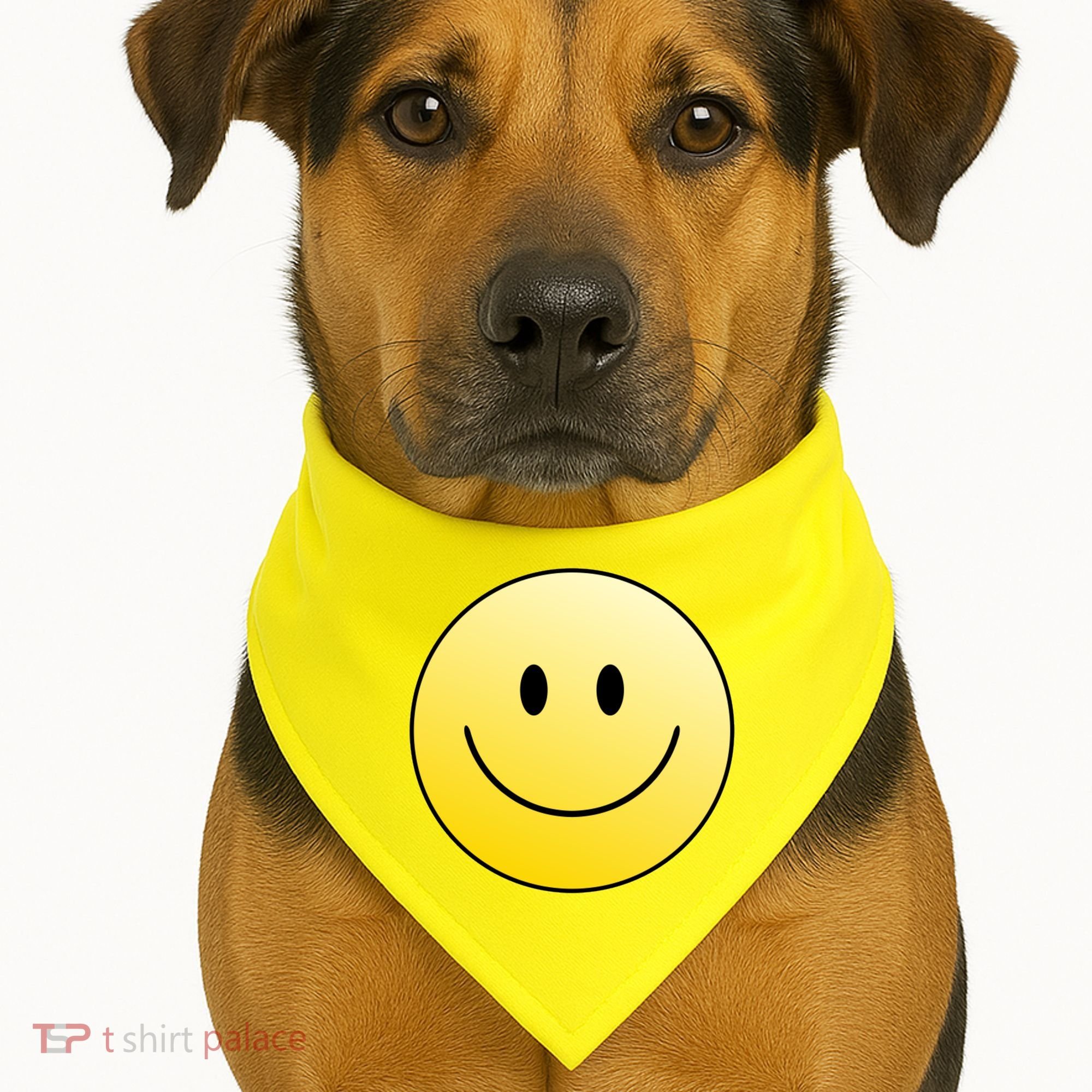 Happy Face Circle USA-Made Doggie Bandana