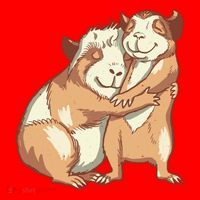 Happy Guinea Pigs Hugging Santa Hat thumb 1