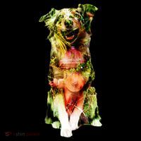 Happy Pup Fire Hydrant Rescue Dog Cooling Performance Crew T-Shirt thumb 4