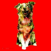 Happy Pup Fire Hydrant Rescue Dog Santa Hat thumb 1