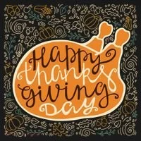 Happy Thanksgiving Day Turkey Pumpkin Logo Toddler Hoodie thumb 2