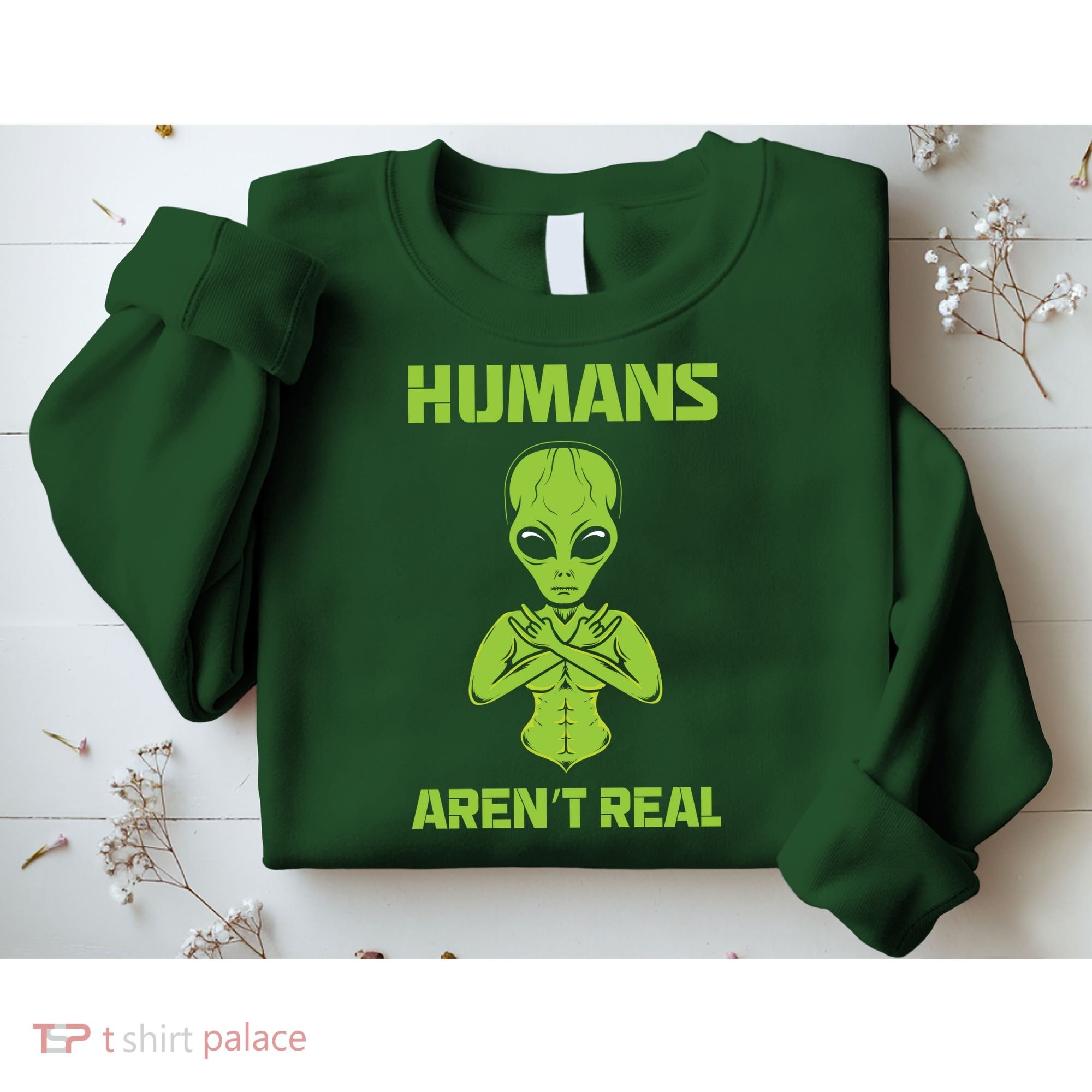 Humans Aren't Real Alien UFO Space Weird Funny Graphic Sweatshirt