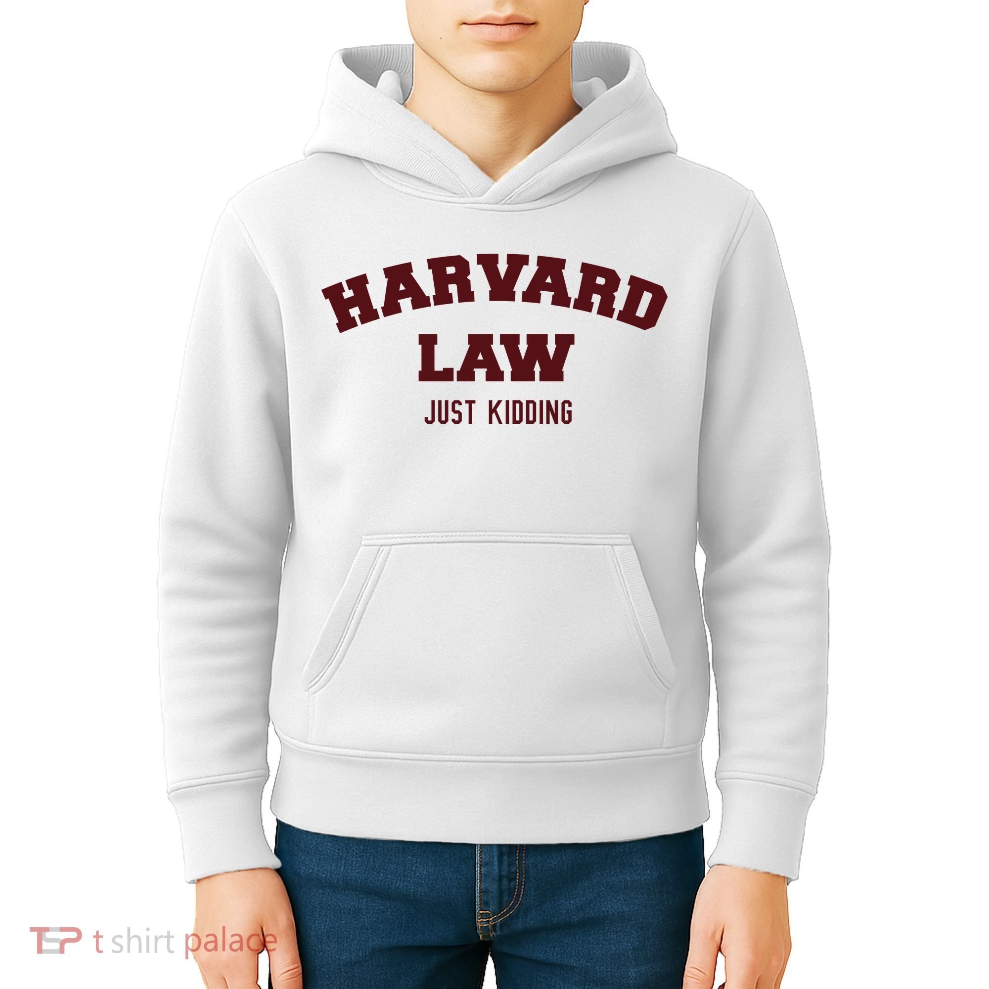 Harvard Law Just Kidding Kids Hoodie