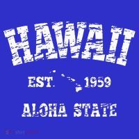 Hawaiian Aloha State Vintage Hawaiian Islands  T-Shirt thumb 7