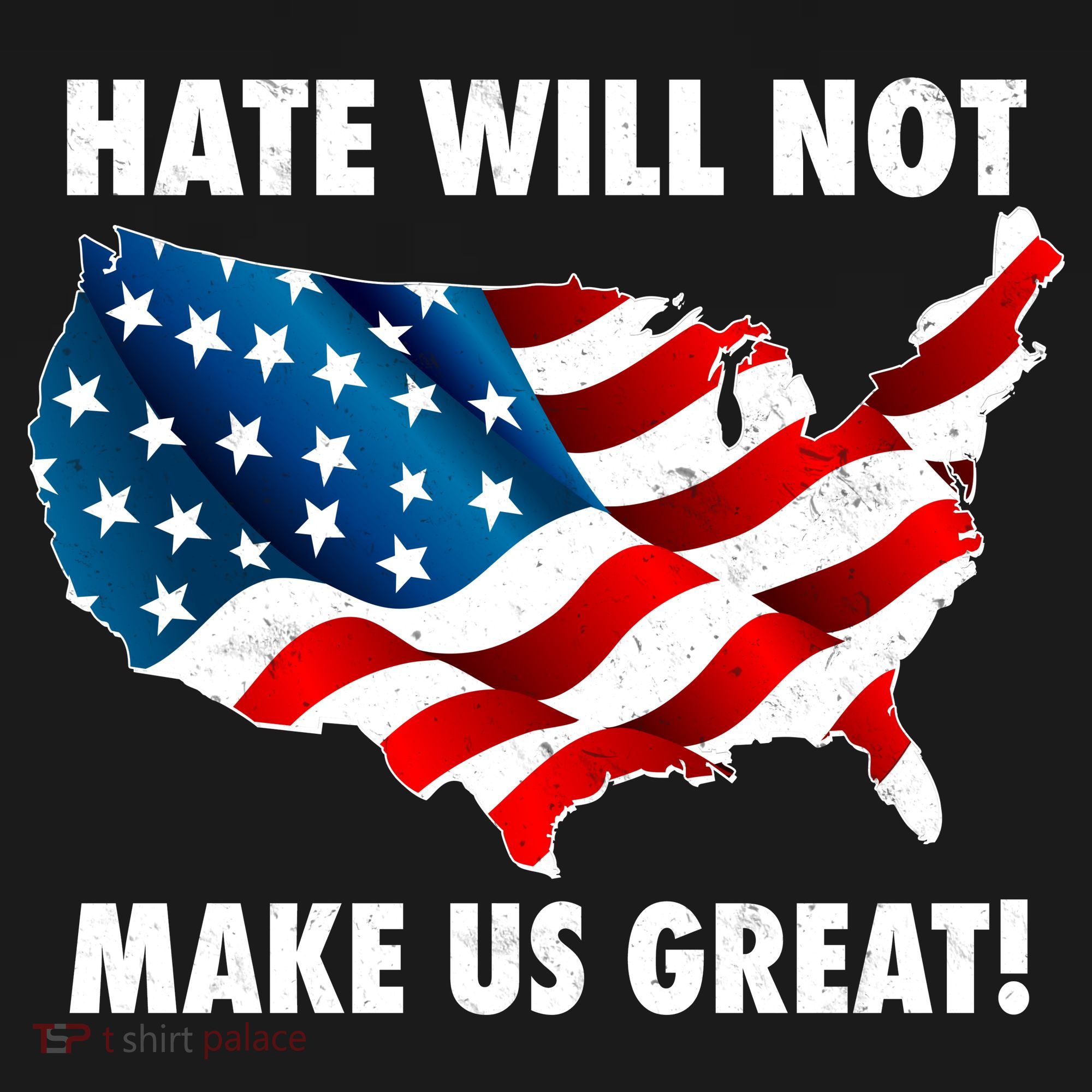 Hate Will Not Make Us Great Long Sleeve Shirt
