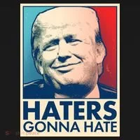 Haters Gonna Hate Poster Pro Trump Toddler Hoodie thumb 2