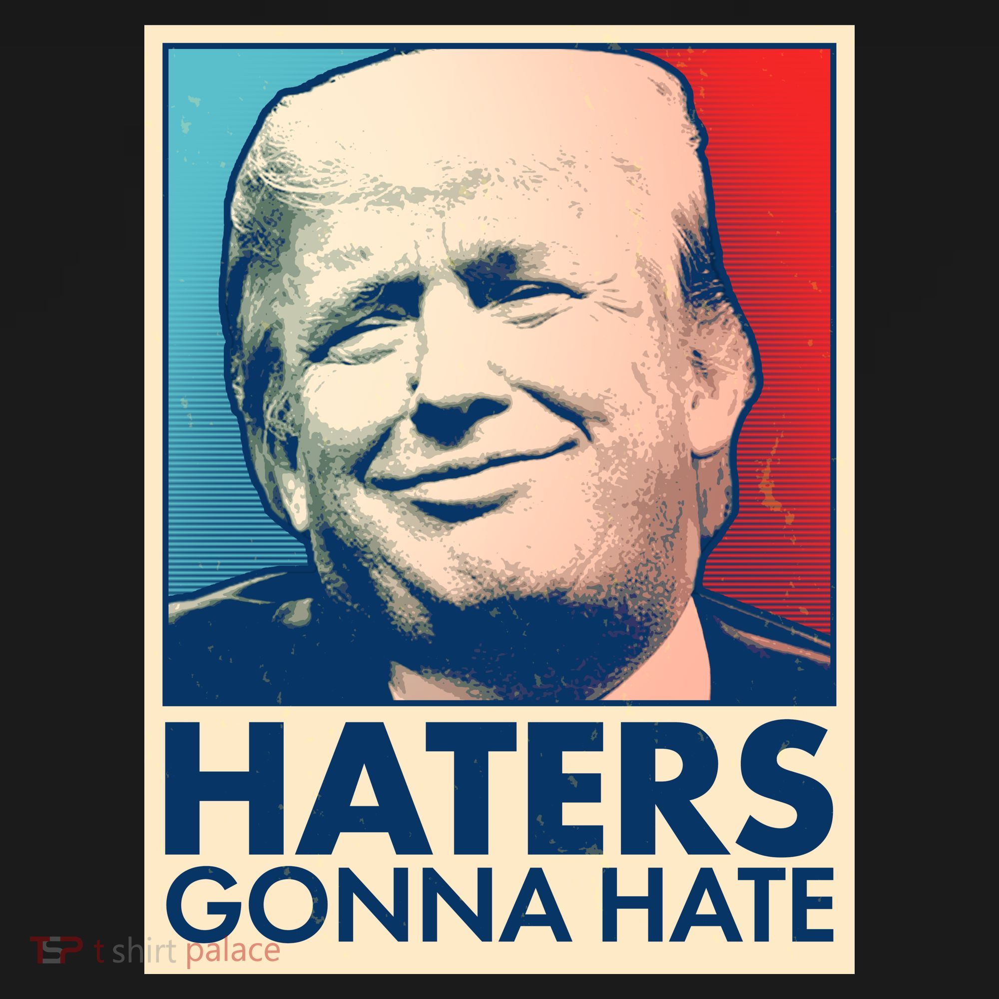 Haters Gonna Hate Poster Pro Trump Kids Sweatshirt