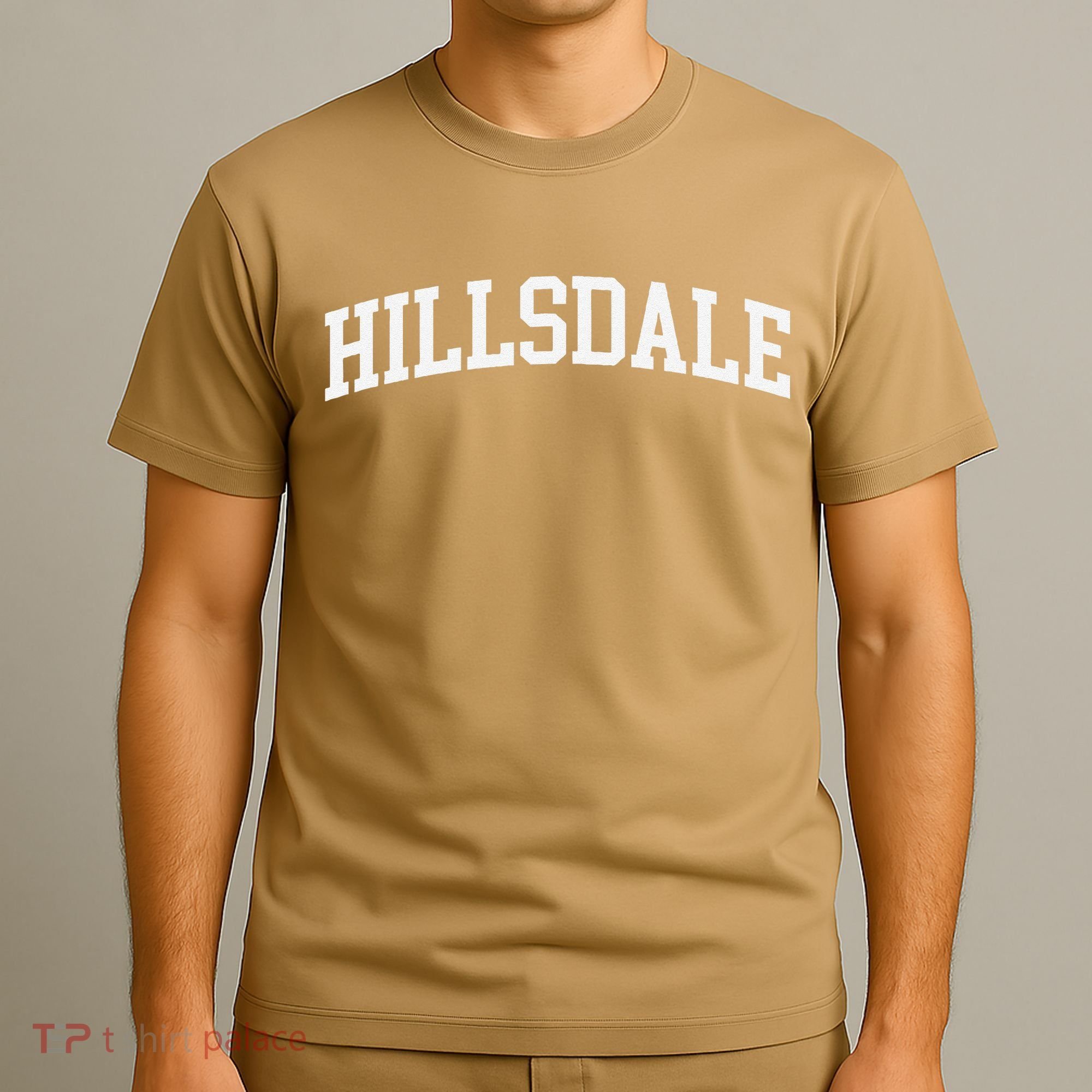 Hillsdale Arch Vintage Retro College Athletic Sports T-Shirt