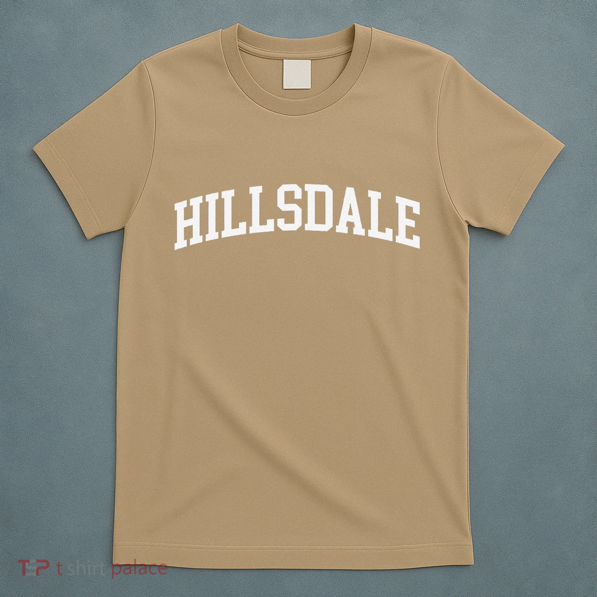 Hillsdale Arch Vintage Retro College Athletic Sports T-Shirt