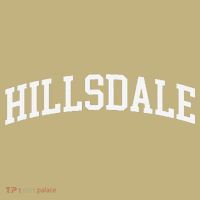 Hillsdale Arch Vintage Retro College Athletic Sports T-Shirt thumb 7