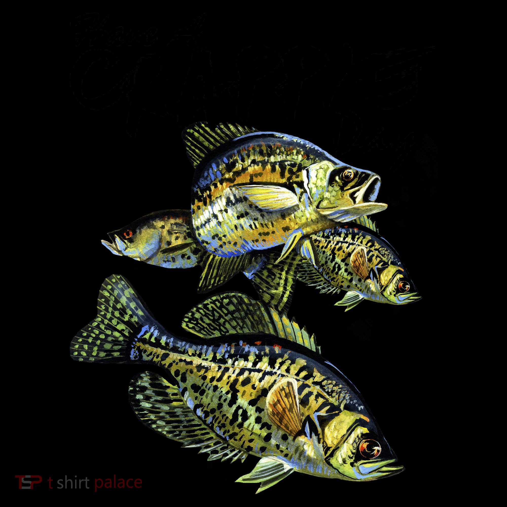 Have A Crappie Day Panfish Funny Fishing  Coffee Mug