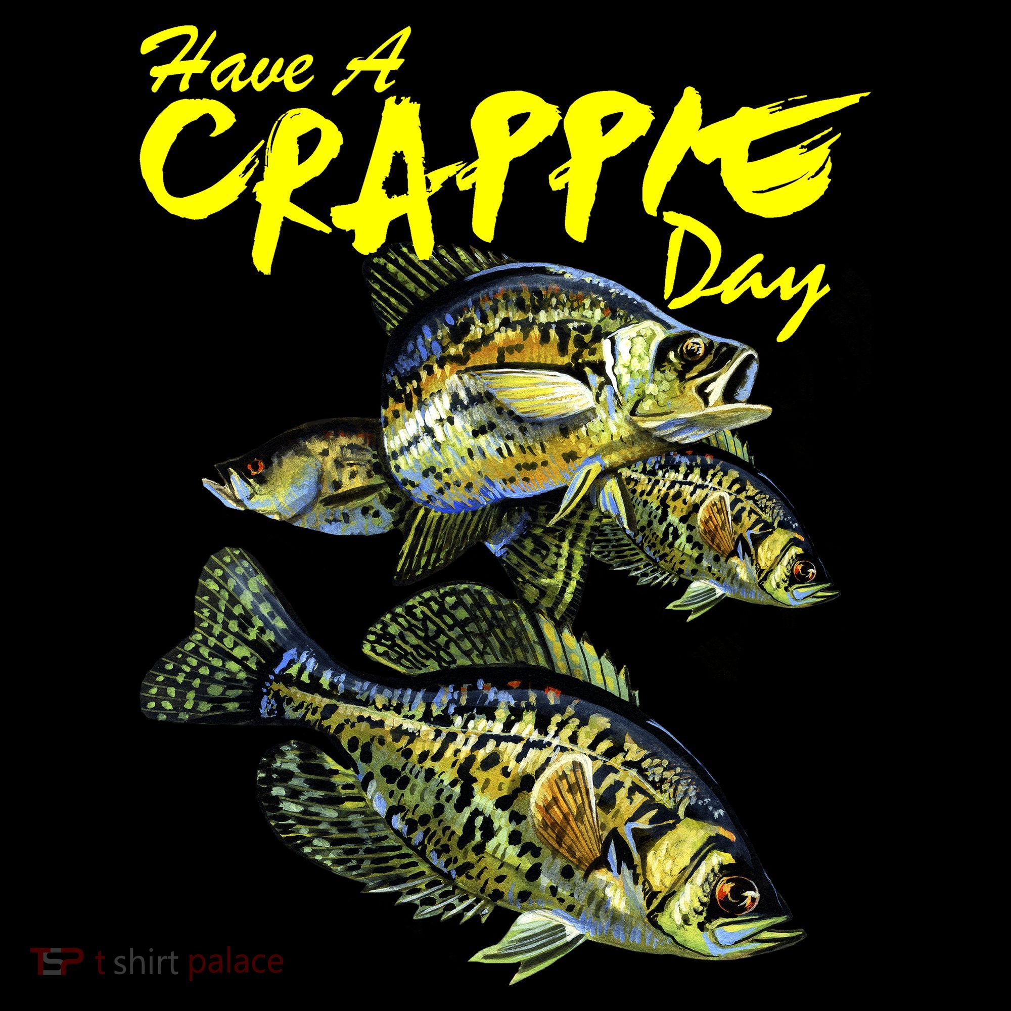 Have A Crappie Day Panfish Funny Fishing  Women's Hoodie