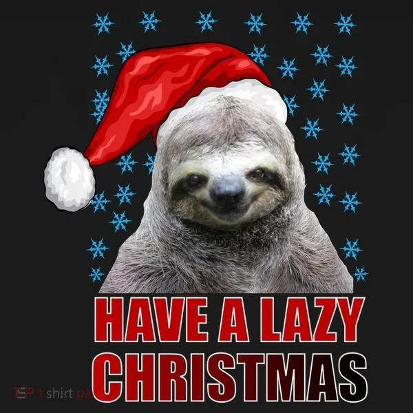 Have A Lazy Sloth Christmas Women's Hoodie