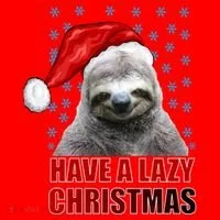 Have A Lazy Sloth Christmas Santa Hat thumb 1