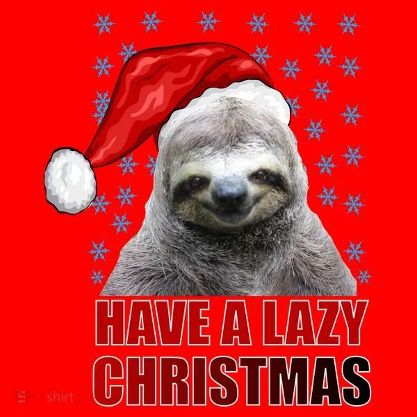 Have A Lazy Sloth Christmas Santa Hat