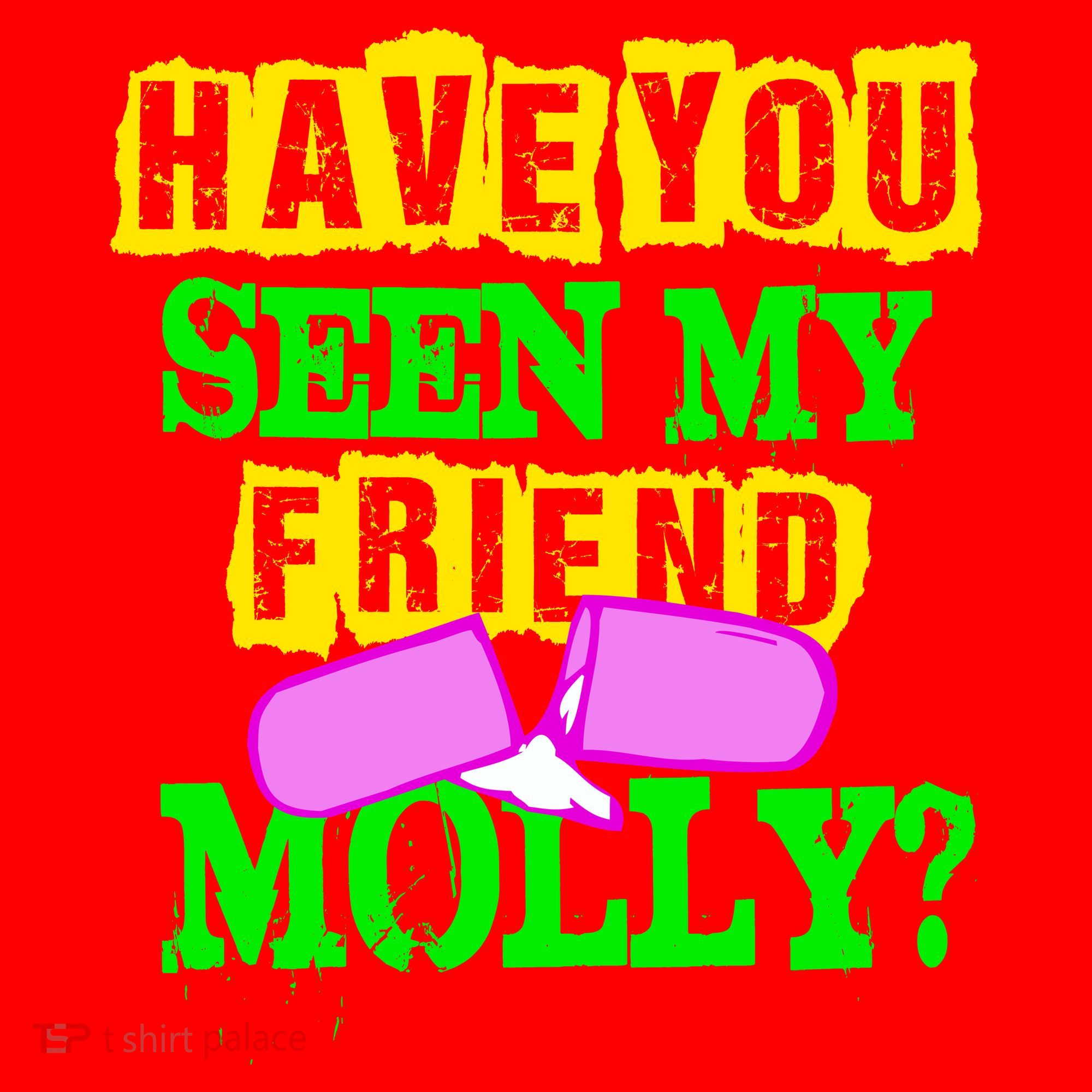 Have You Seen My Friend Molly Santa Hat