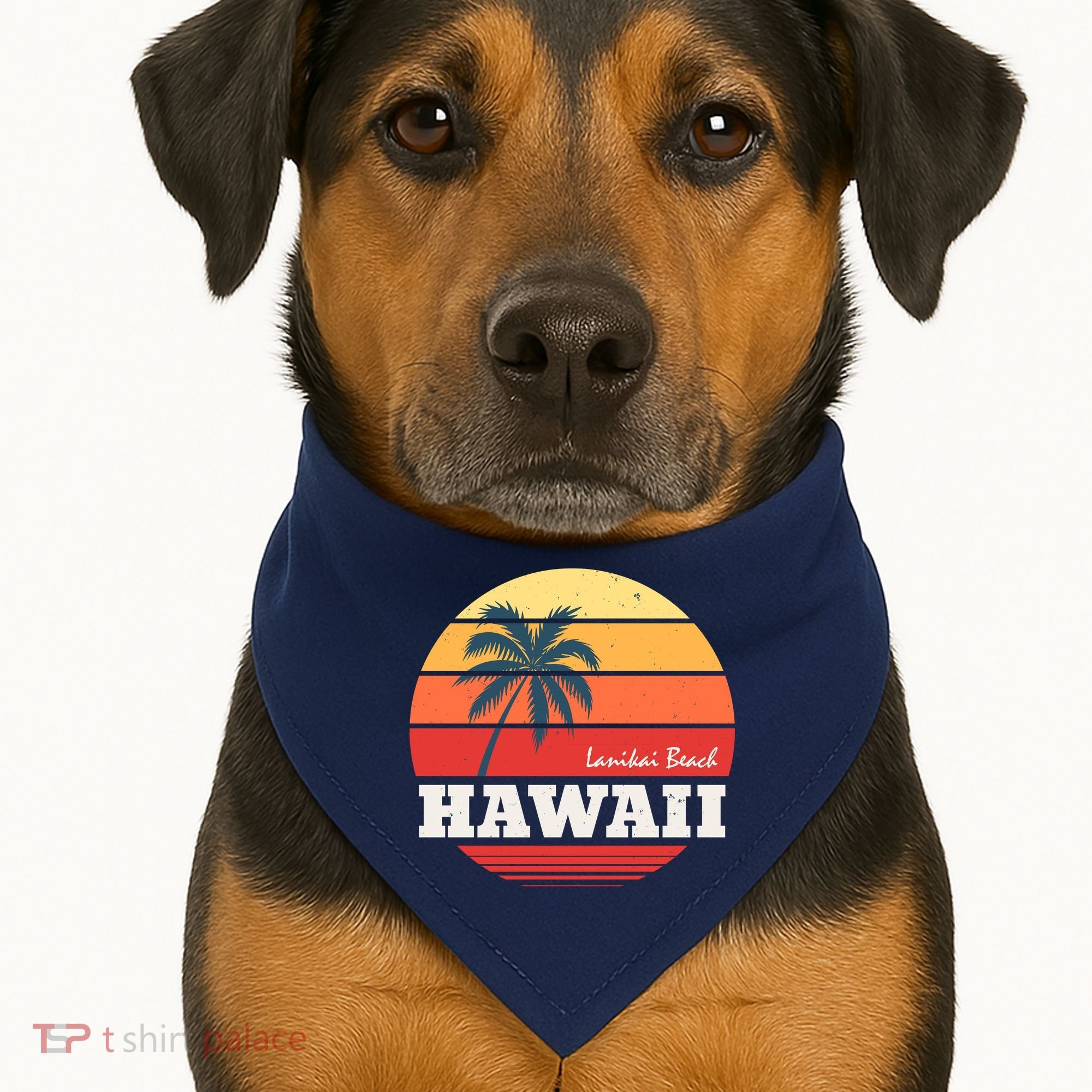 Hawaii Retro Circle USA-Made Doggie Bandana