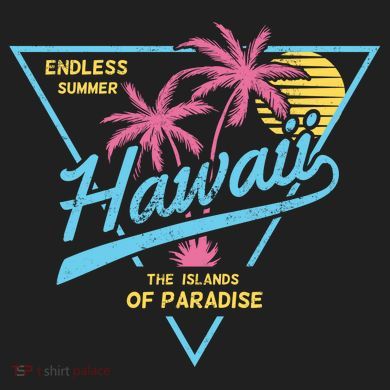 Hawaii Retro Classic  Urban Oversized Heavyweight T-Shirt