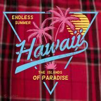 Hawaii Retro Classic  Men's Flannel Plaid Pajama Pants thumb 2