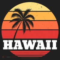 Hawaii Retro Sun Women's Sweatshirt thumb 2