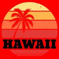 Hawaii Retro Sun Santa Hat thumb 1
